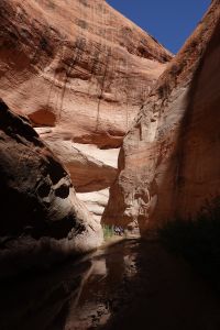 Nádherný Fiftymile Canyon